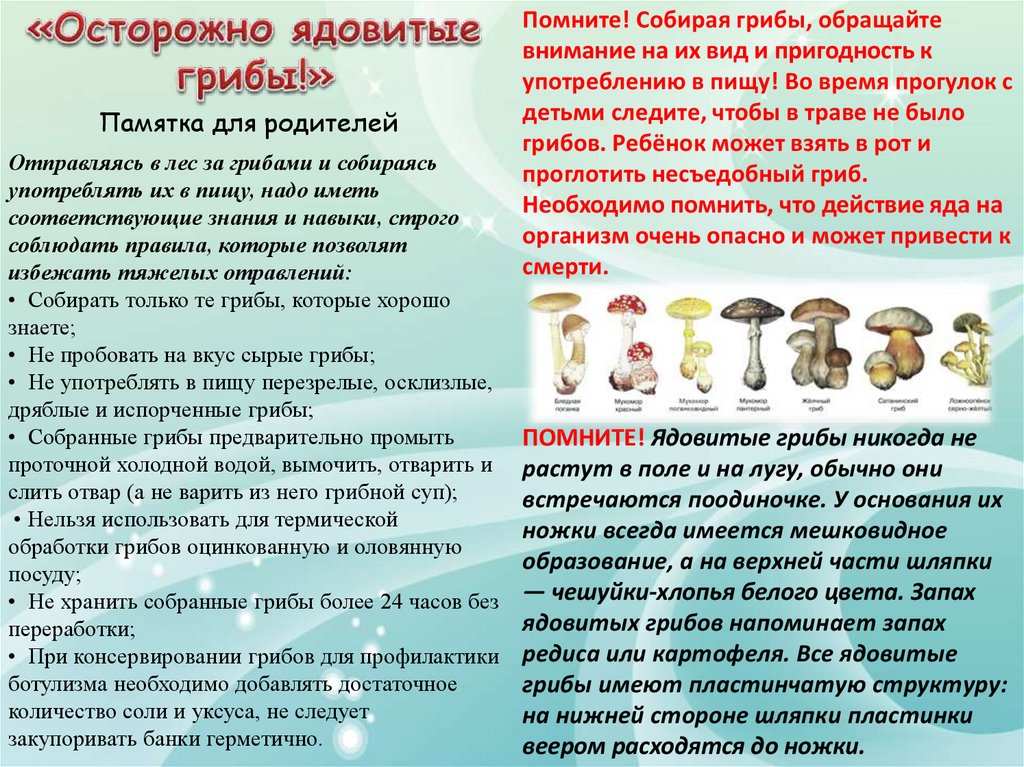 Ядовитые грибы для родителей. Как узнать ядовитые грибы при варке. Как распознать съедобные грибы от несъедобных. Памятка грибника съедобные и несъедобные грибы. Как узнать ядовитые грибы при варке.